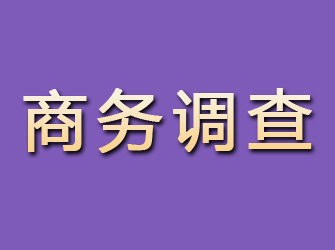 麻江商务调查